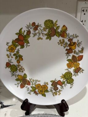 Vintage melamine spice of life 9 inch plates